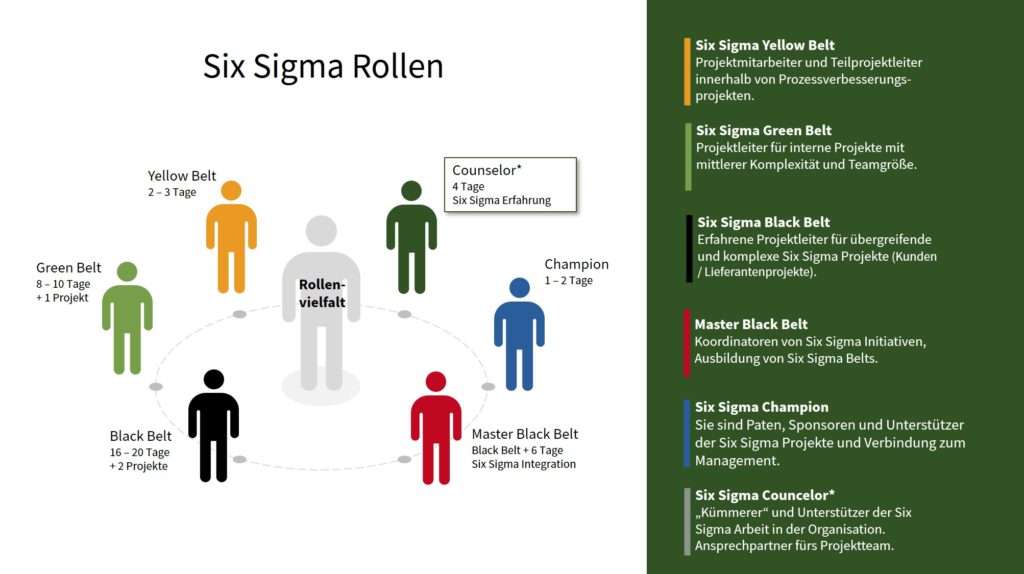 Six Sigma Rollen